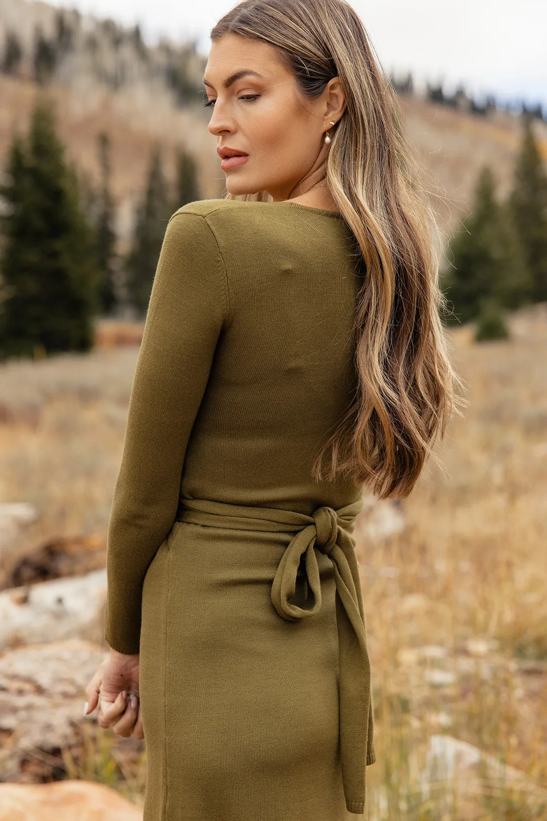 Brandi Wrap Sweater Dress