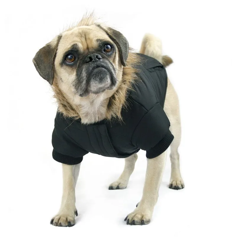 Canada Pooch North Pole Parka in Black