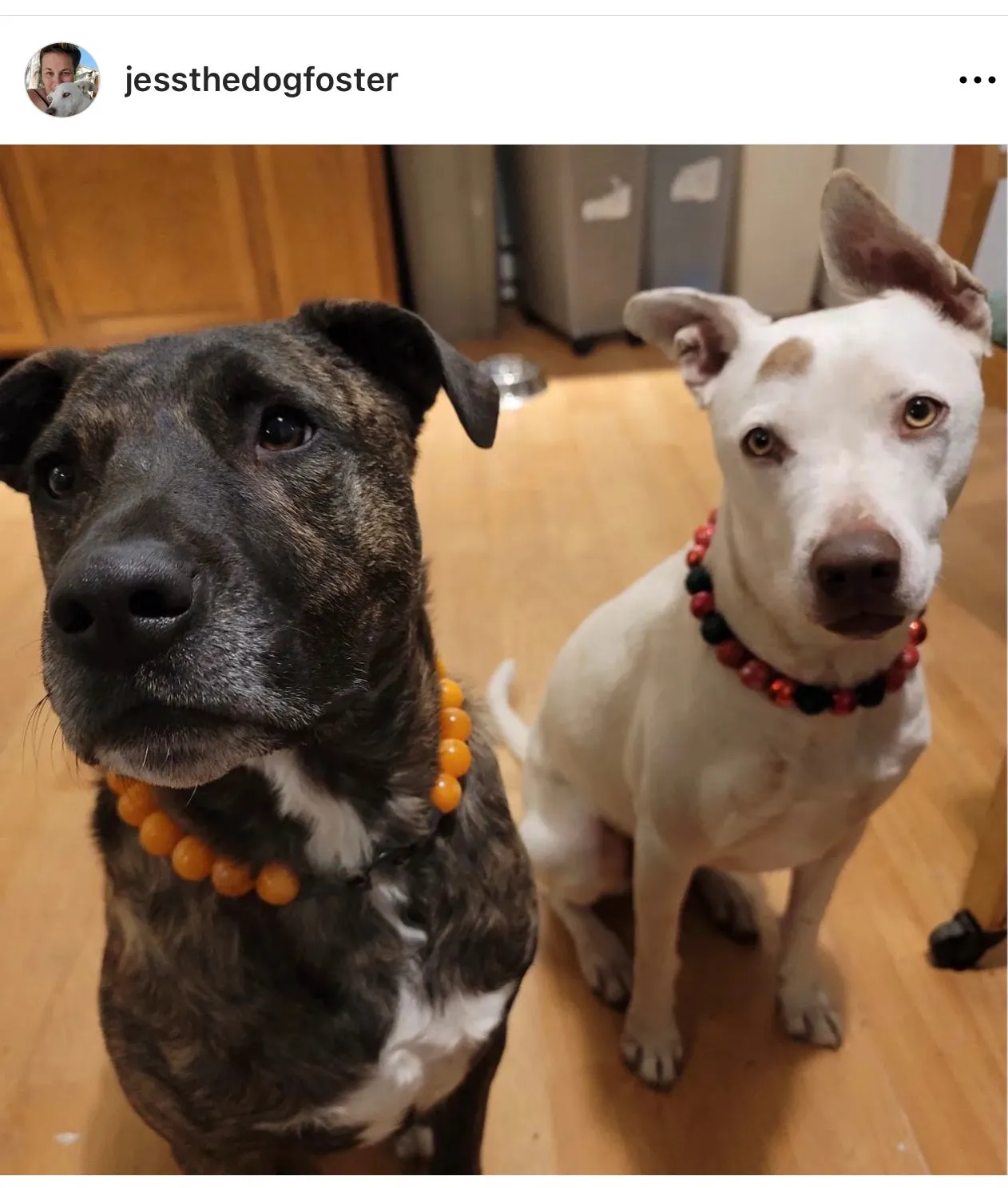 Christmas Glam Bead Collar