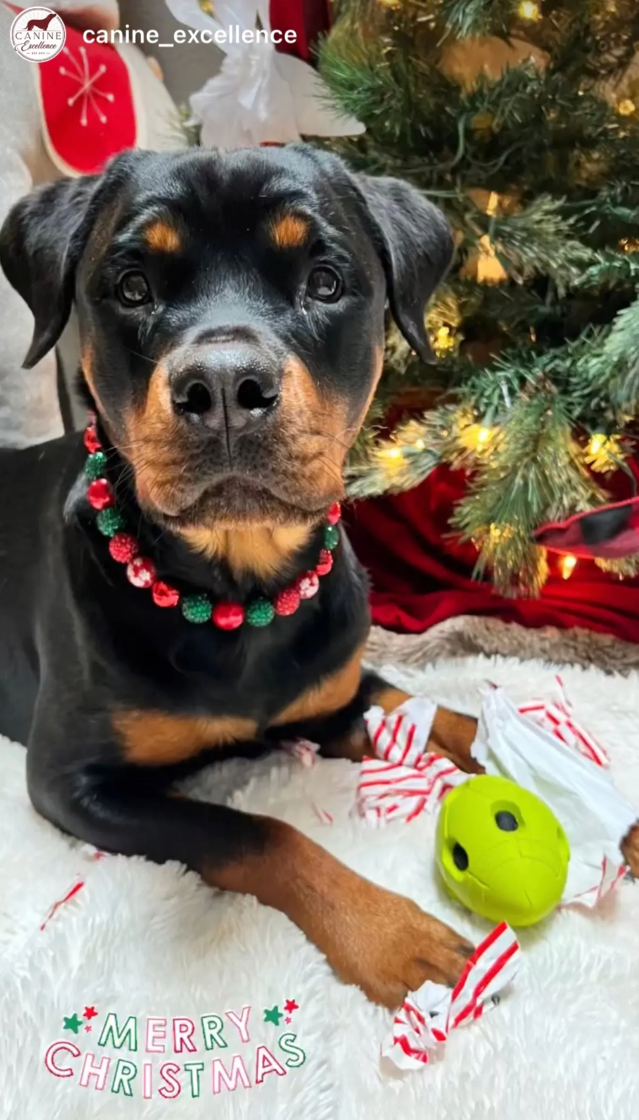 Christmas Glam Bead Collar