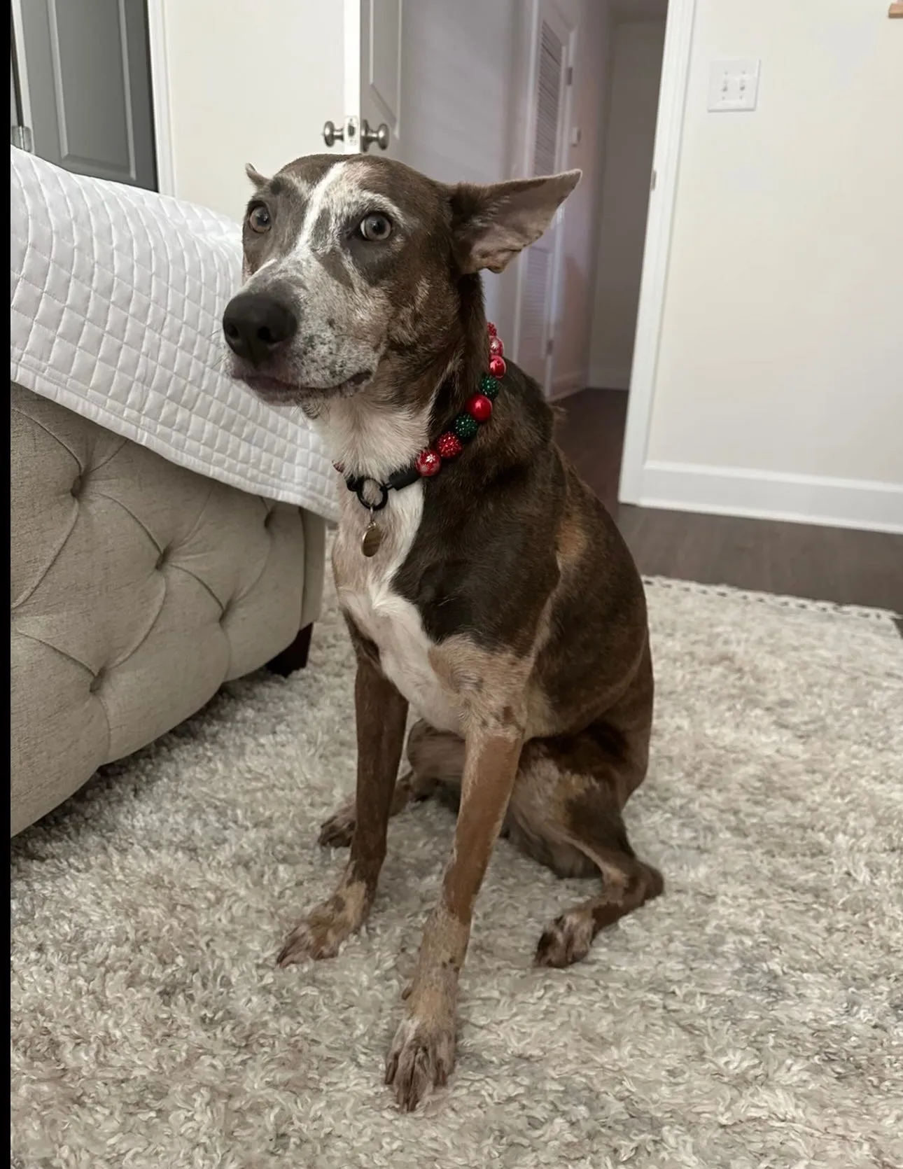 Christmas Glam Bead Collar