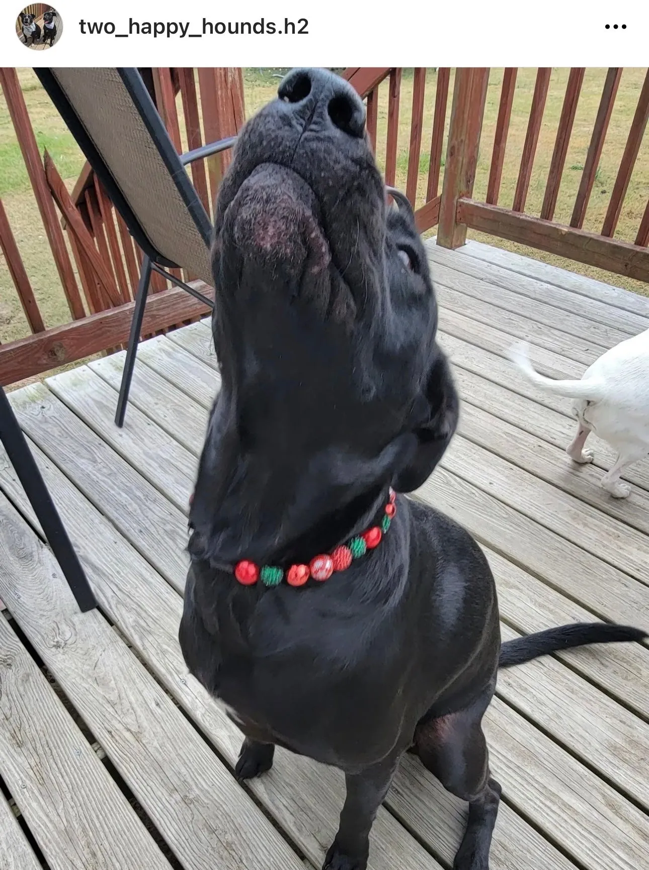 Christmas Glam Bead Collar