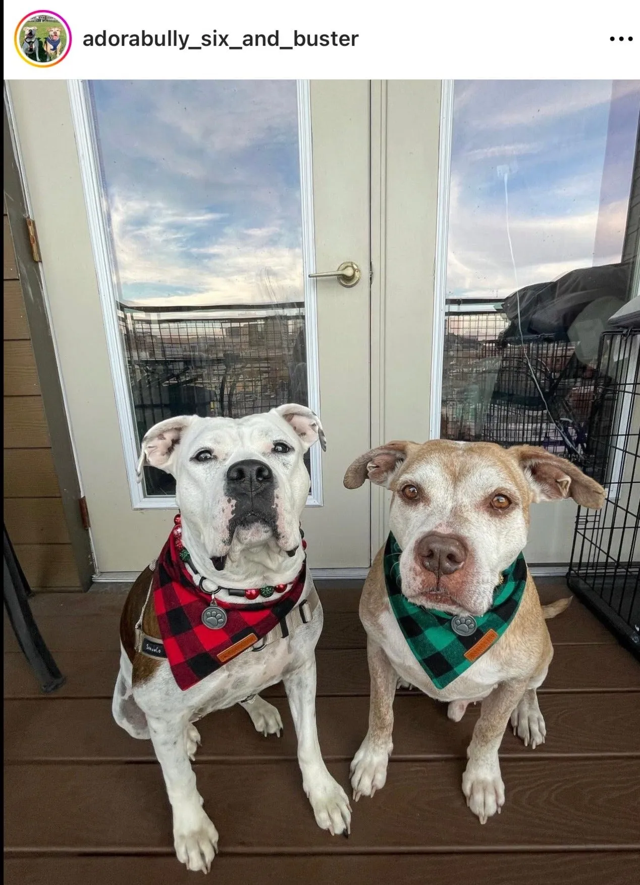 Christmas Glam Bead Collar