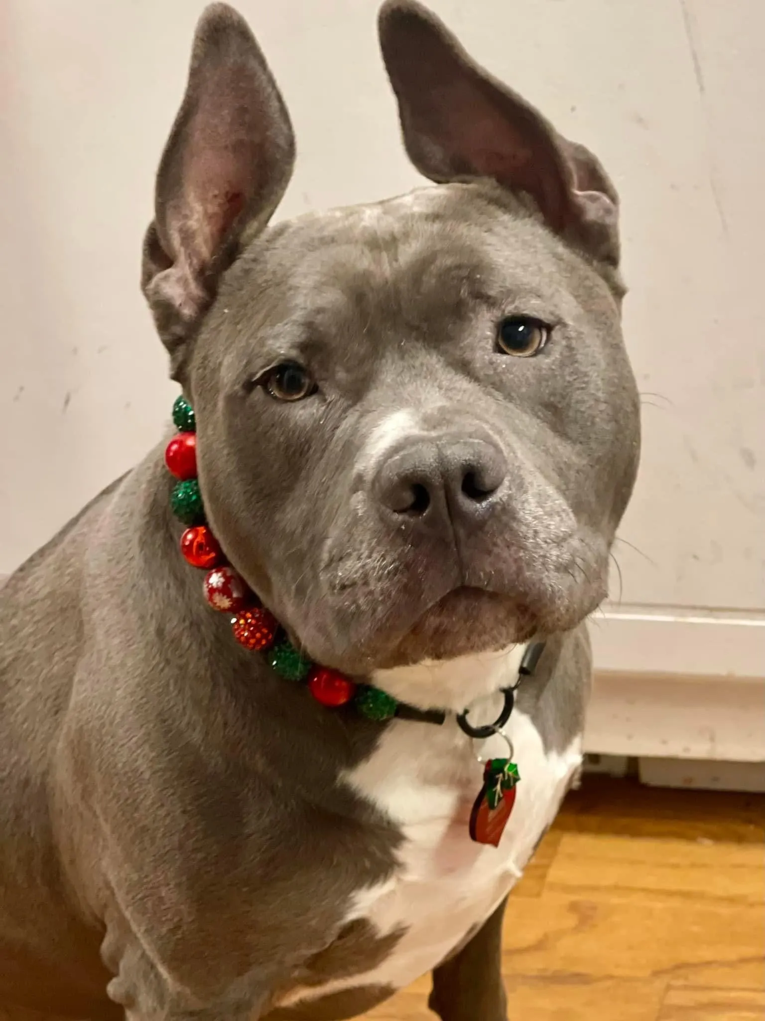 Christmas Glam Bead Collar