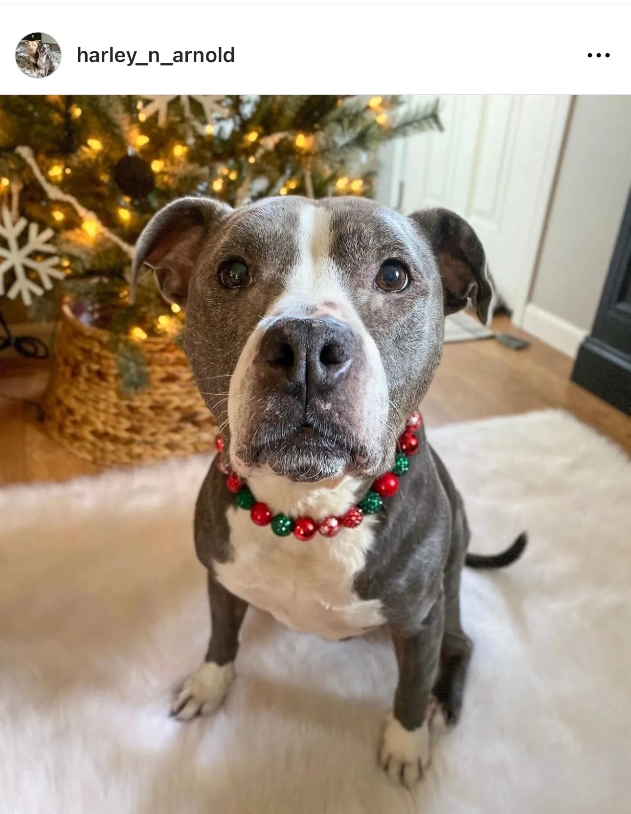 Christmas Glam Bead Collar