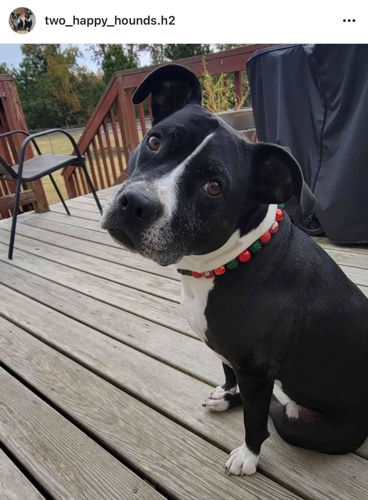 Christmas Glam Bead Collar