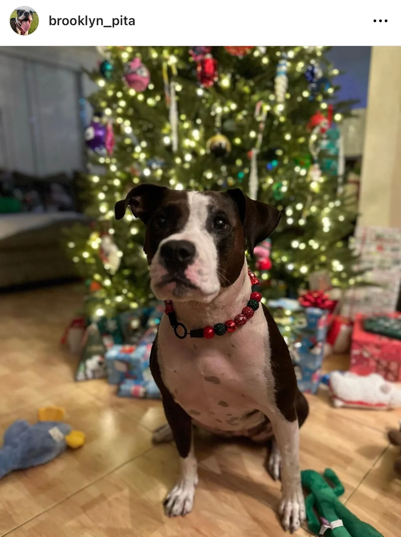 Christmas Glam Bead Collar