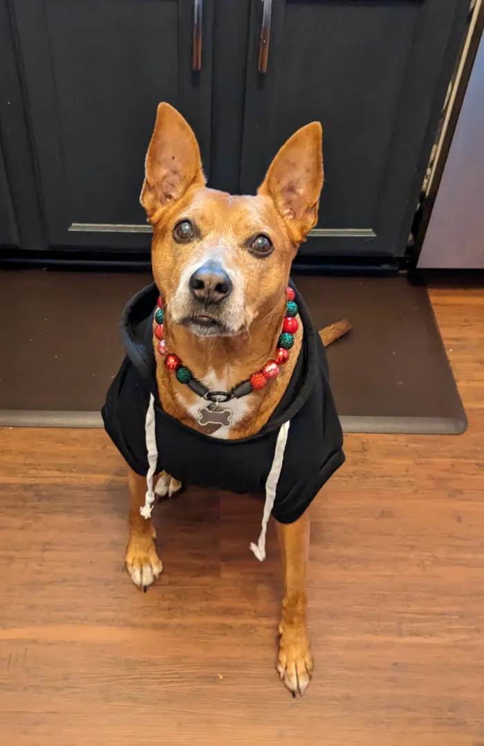 Christmas Glam Bead Collar