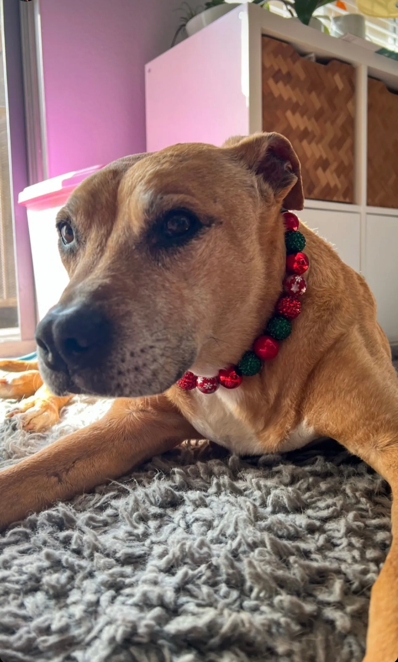 Christmas Glam Bead Collar