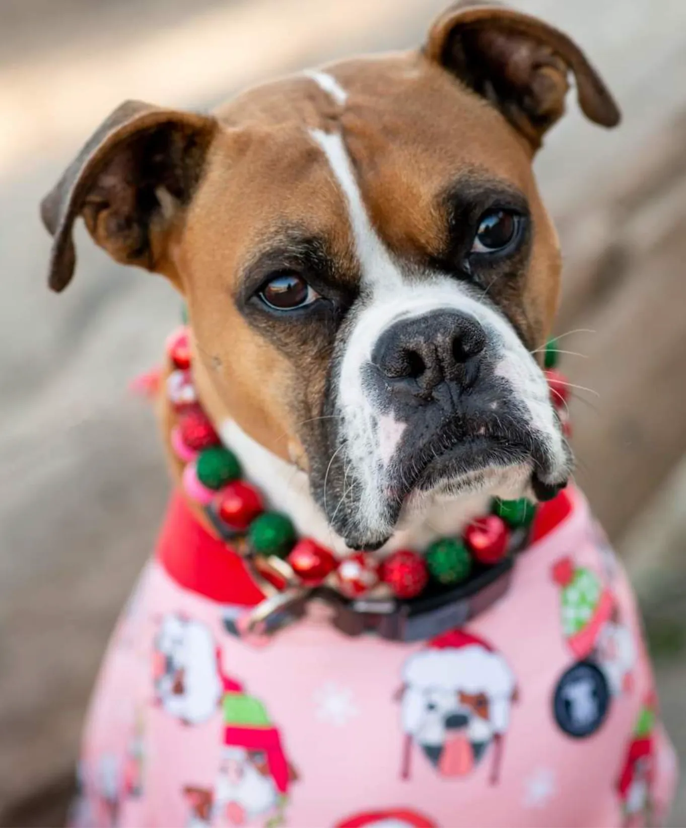 Christmas Glam Bead Collar