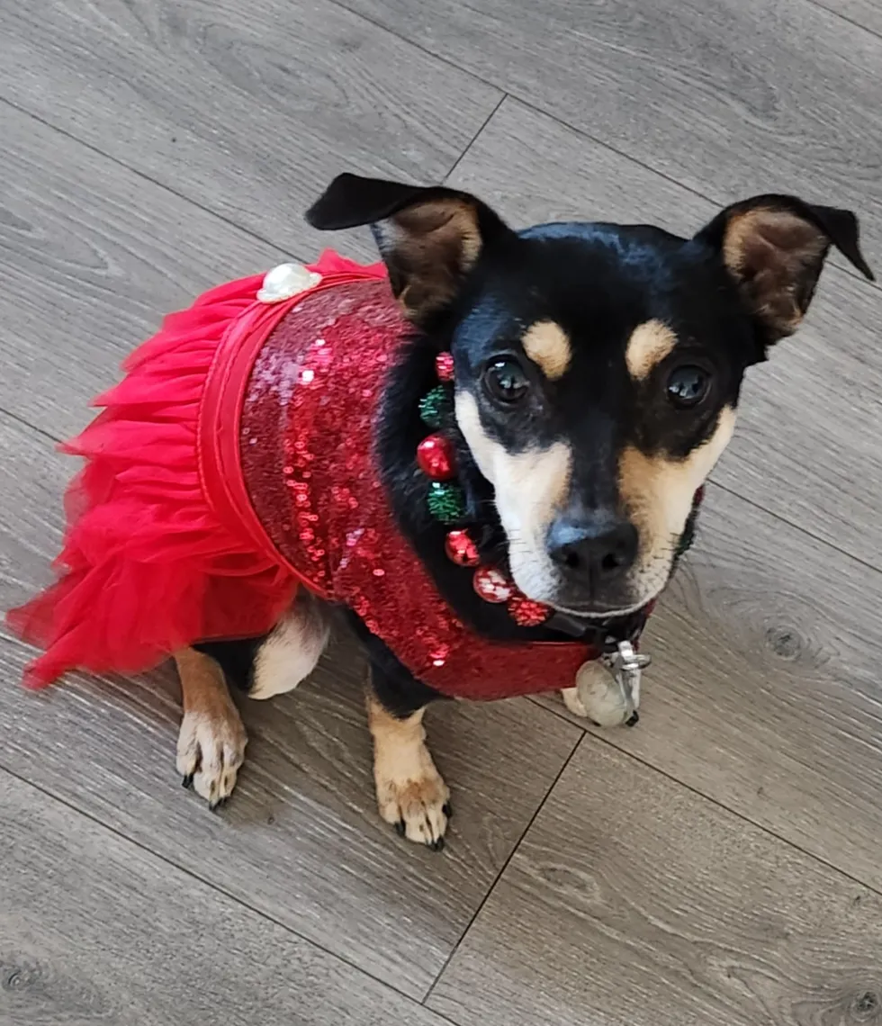 Christmas Glam Bead Collar