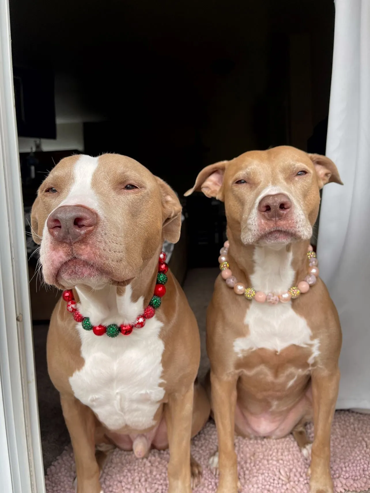 Christmas Glam Bead Collar