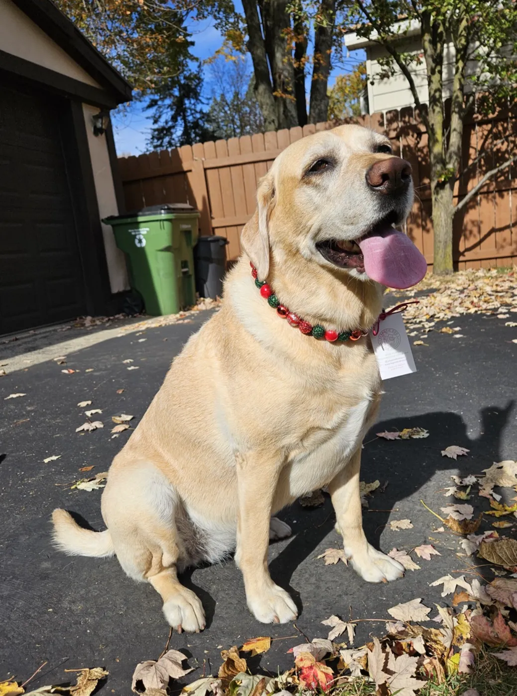 Christmas Glam Bead Collar