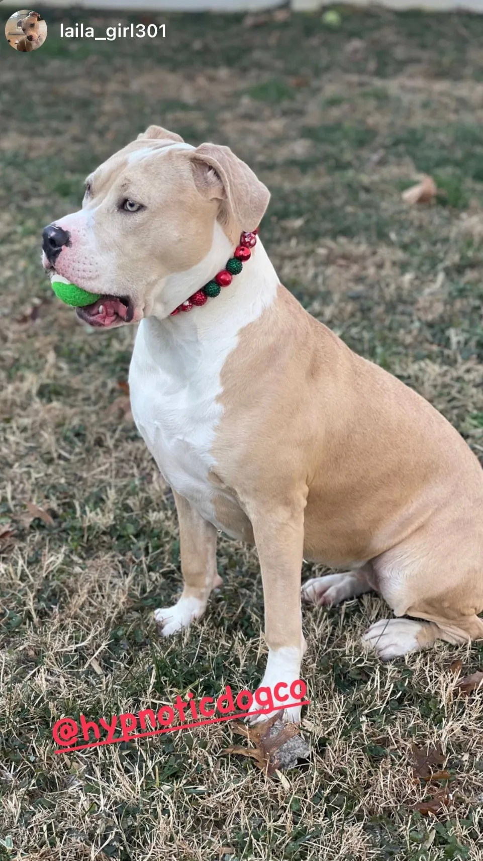 Christmas Glam Bead Collar