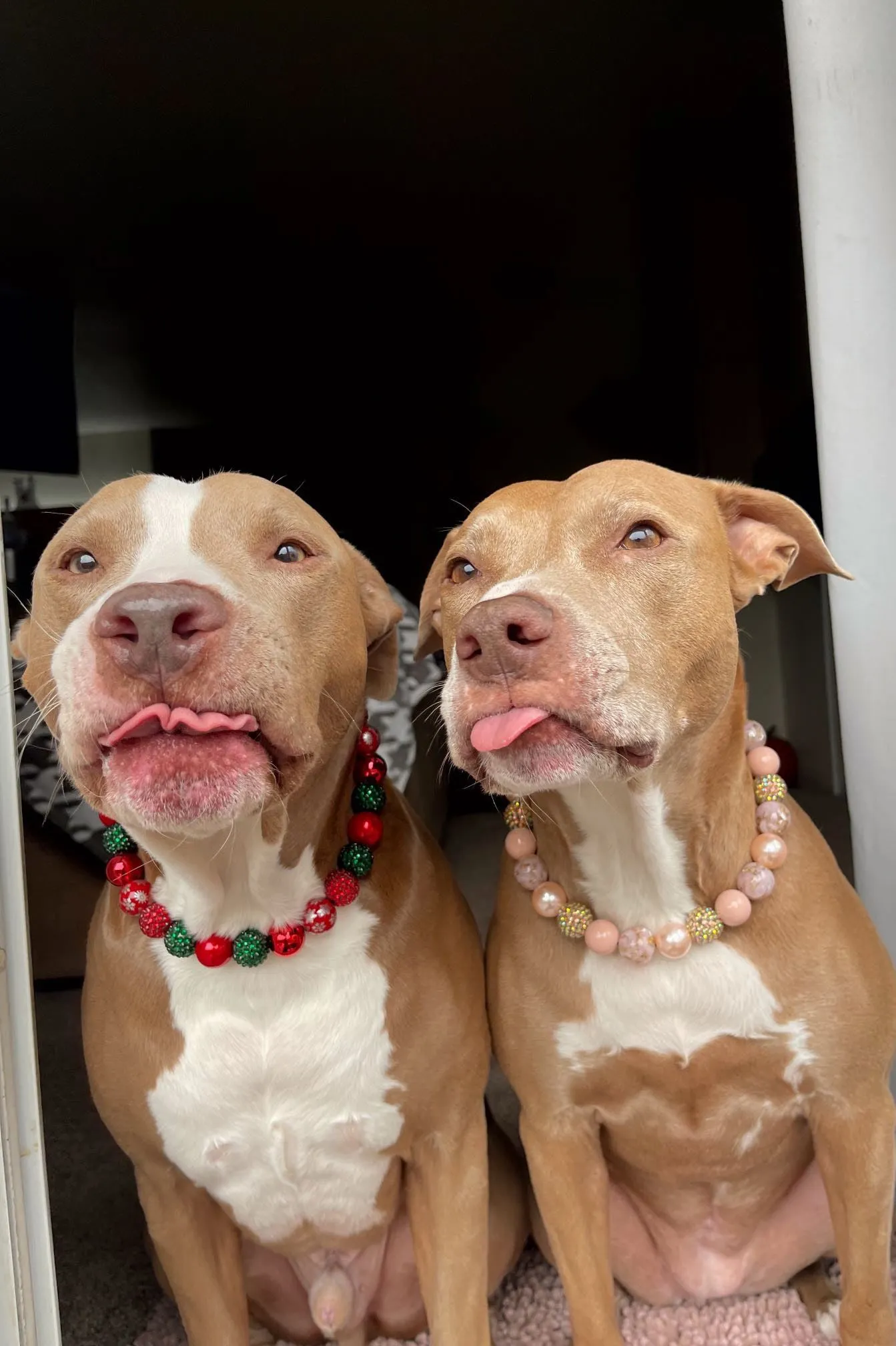 Christmas Glam Bead Collar