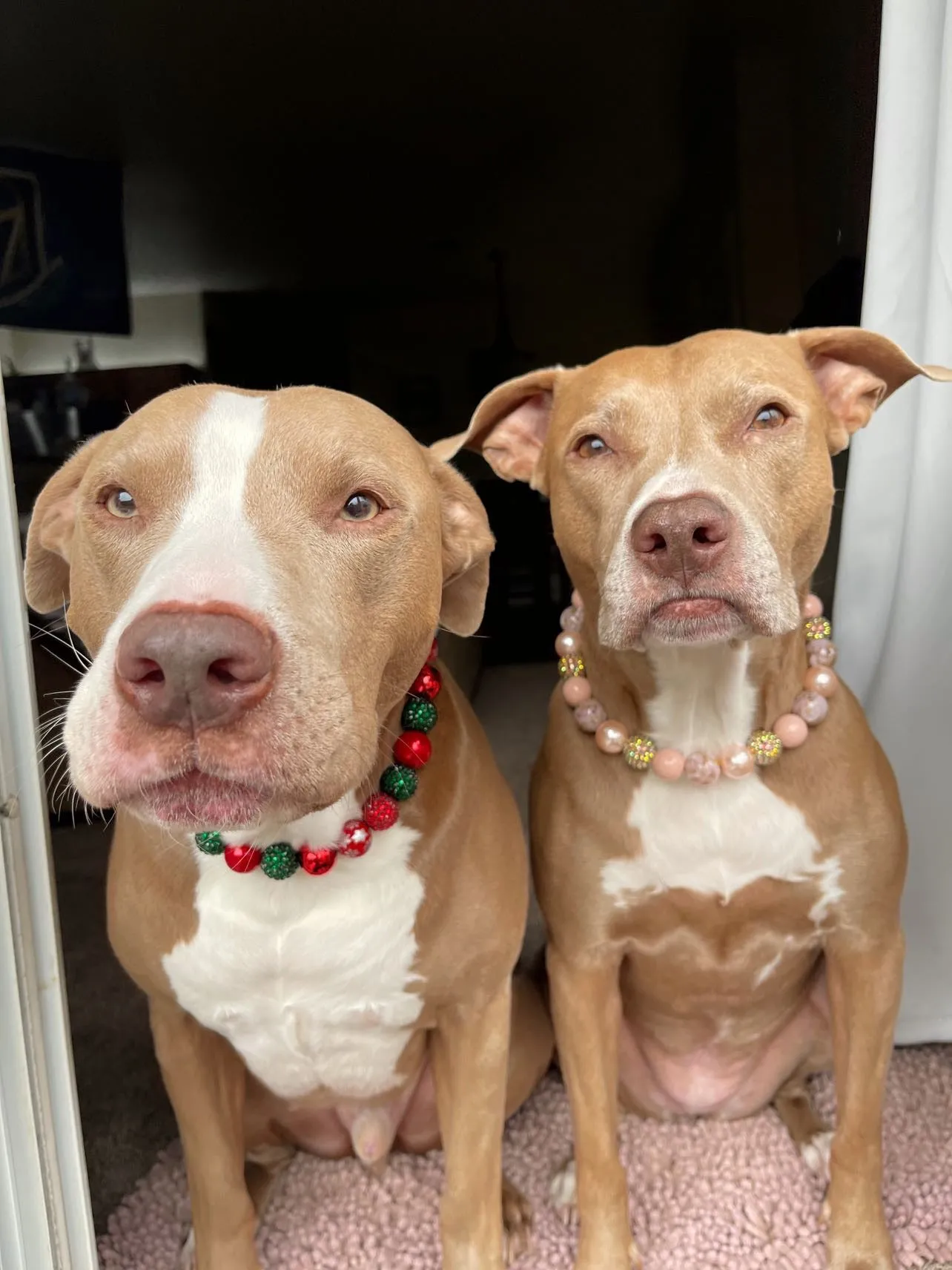 Christmas Glam Bead Collar