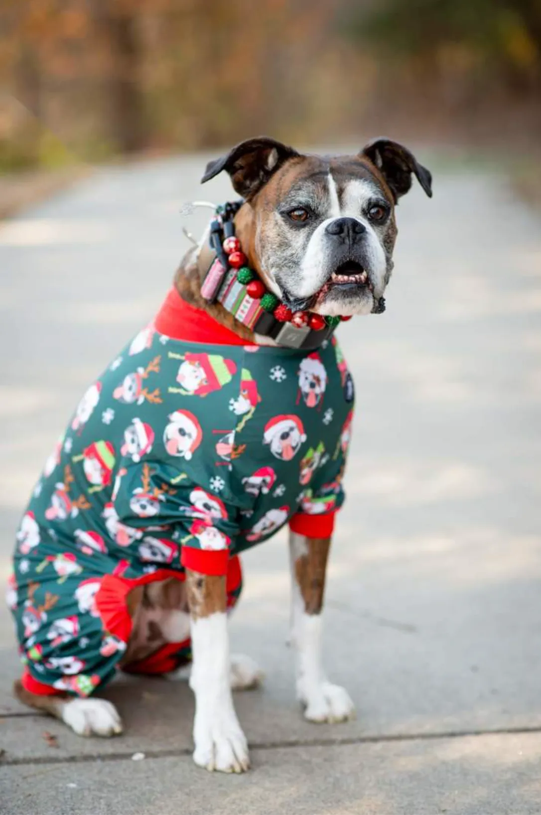 Christmas Glam Bead Collar