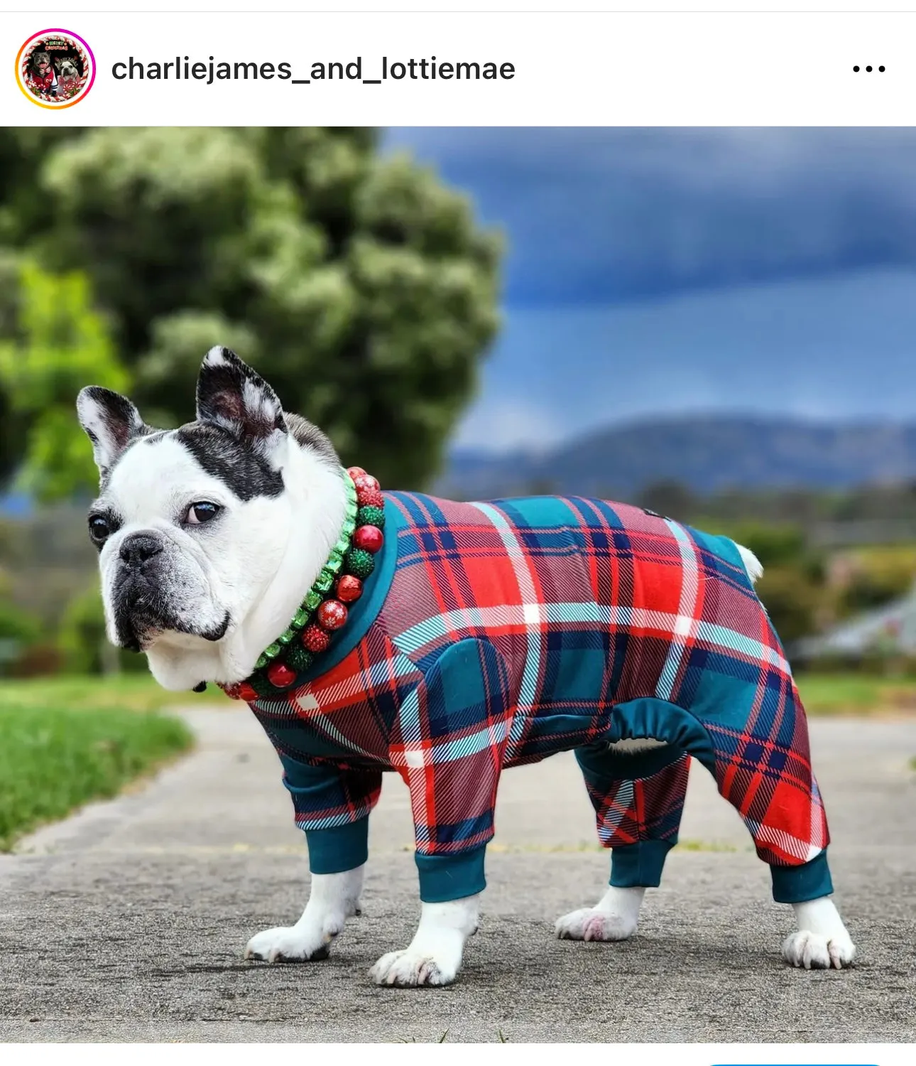 Christmas Glam Bead Collar