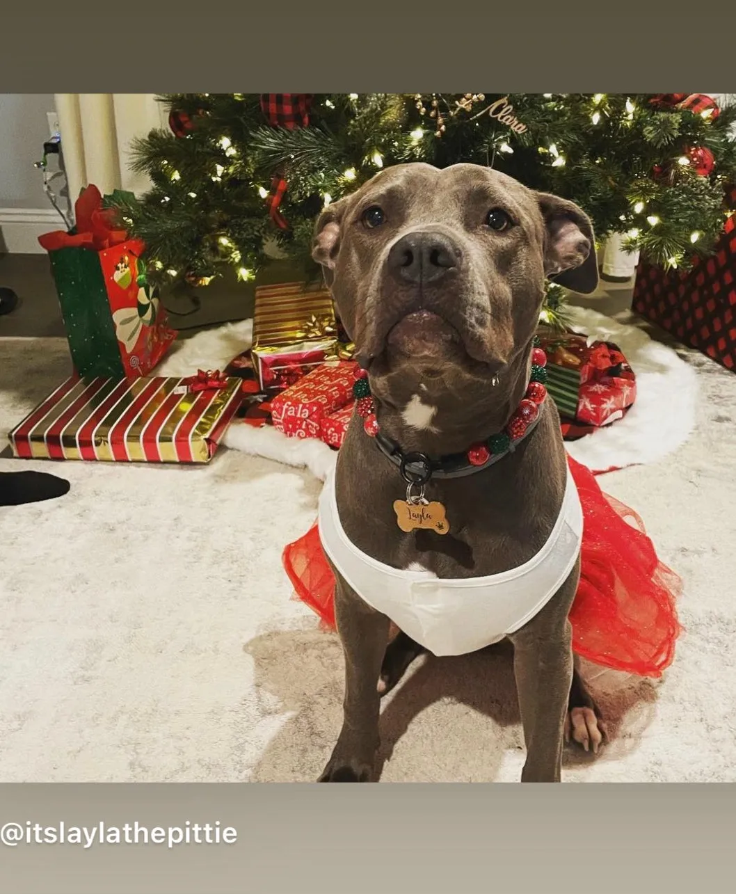 Christmas Glam Bead Collar