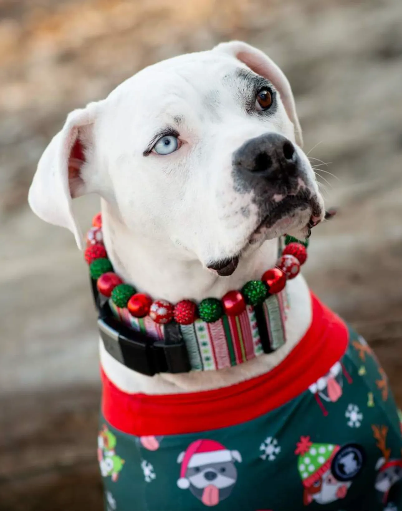 Christmas Glam Bead Collar