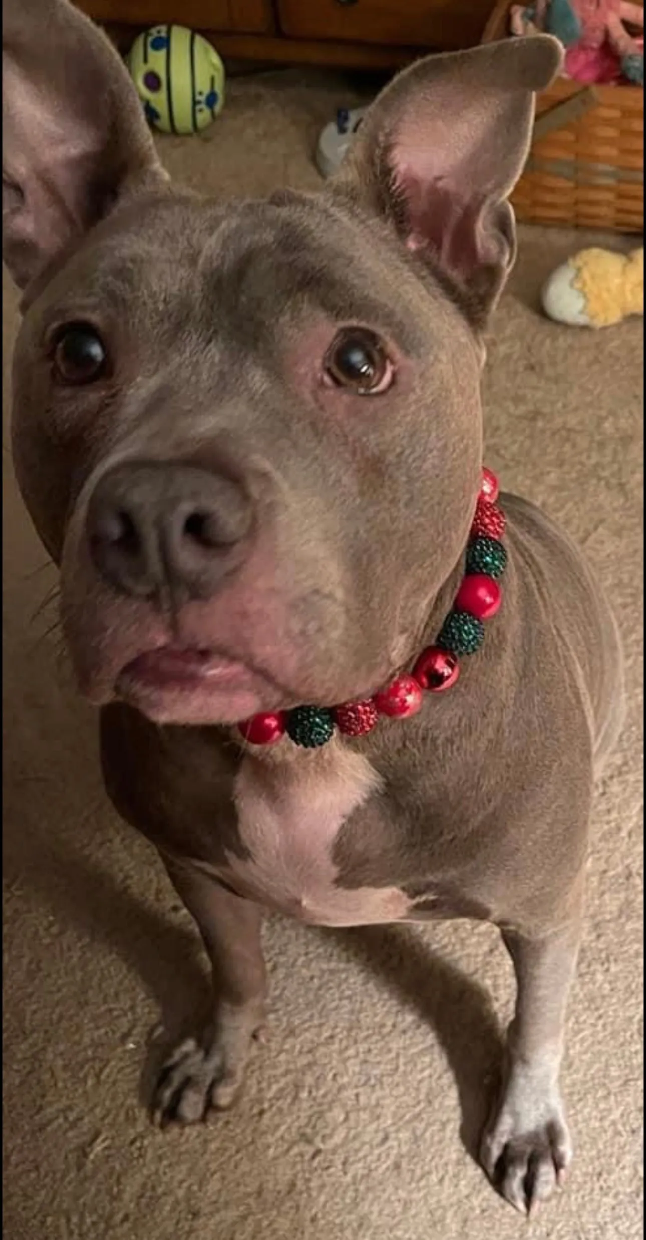 Christmas Glam Bead Collar