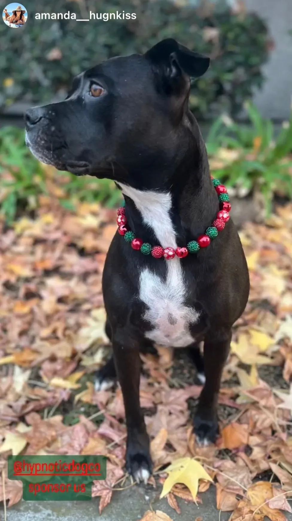 Christmas Glam Bead Collar