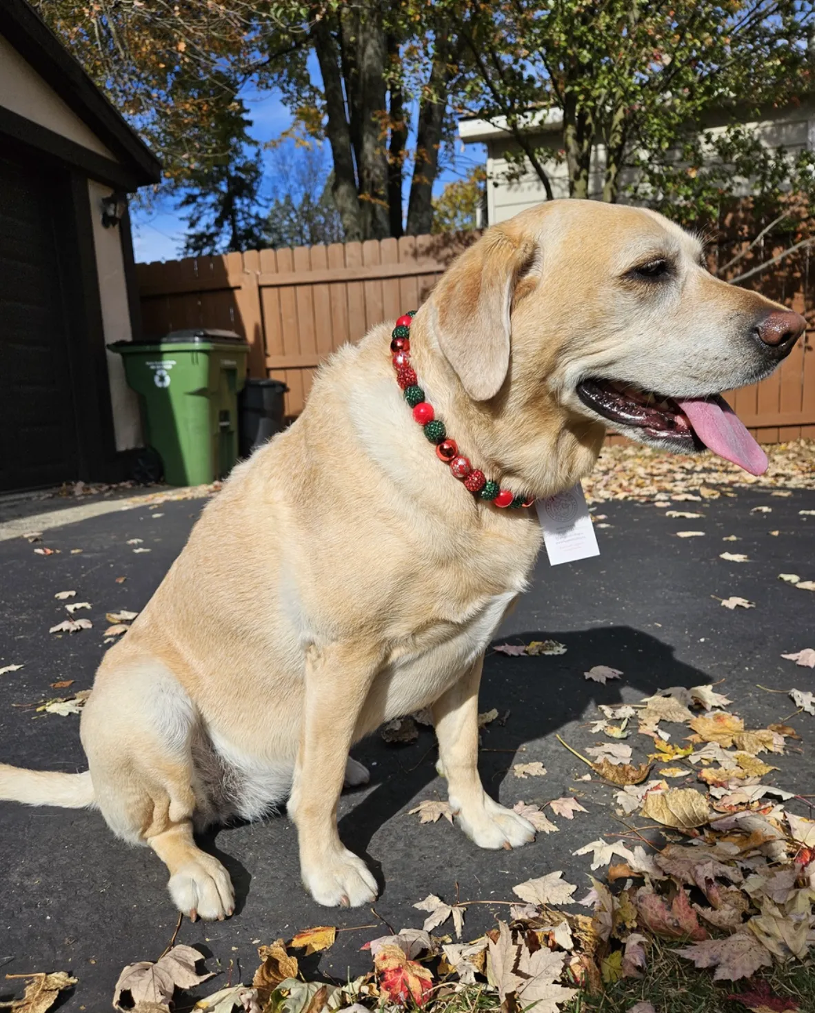 Christmas Glam Bead Collar