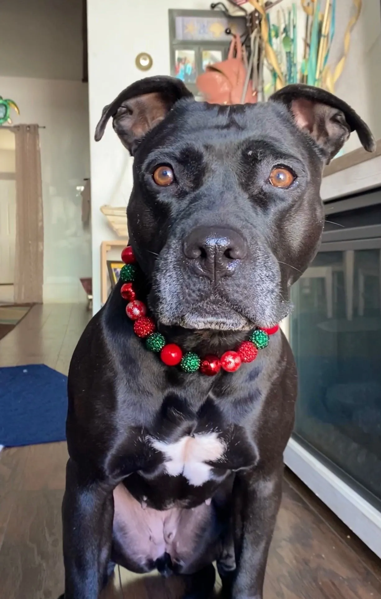 Christmas Glam Bead Collar