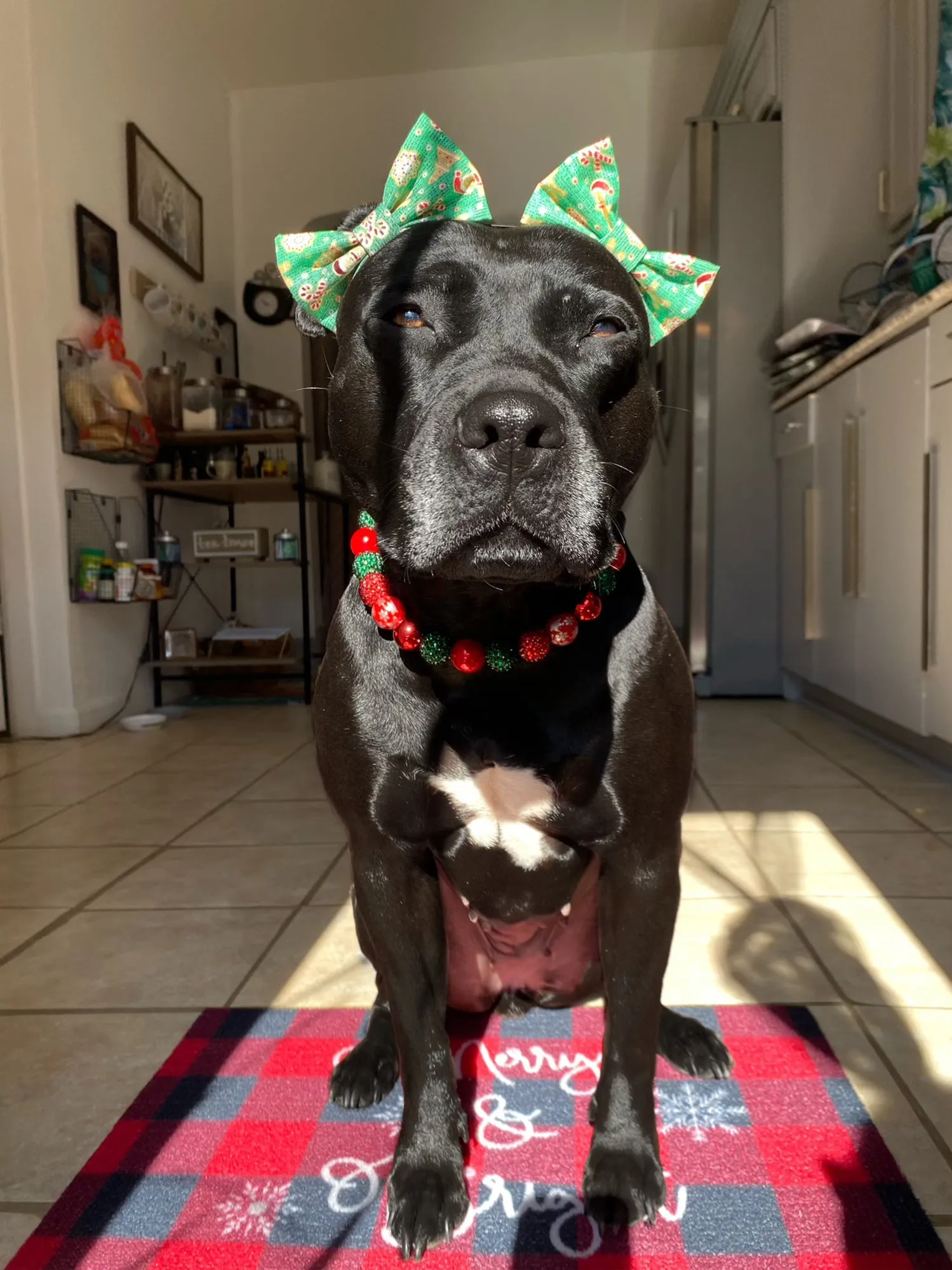 Christmas Glam Bead Collar