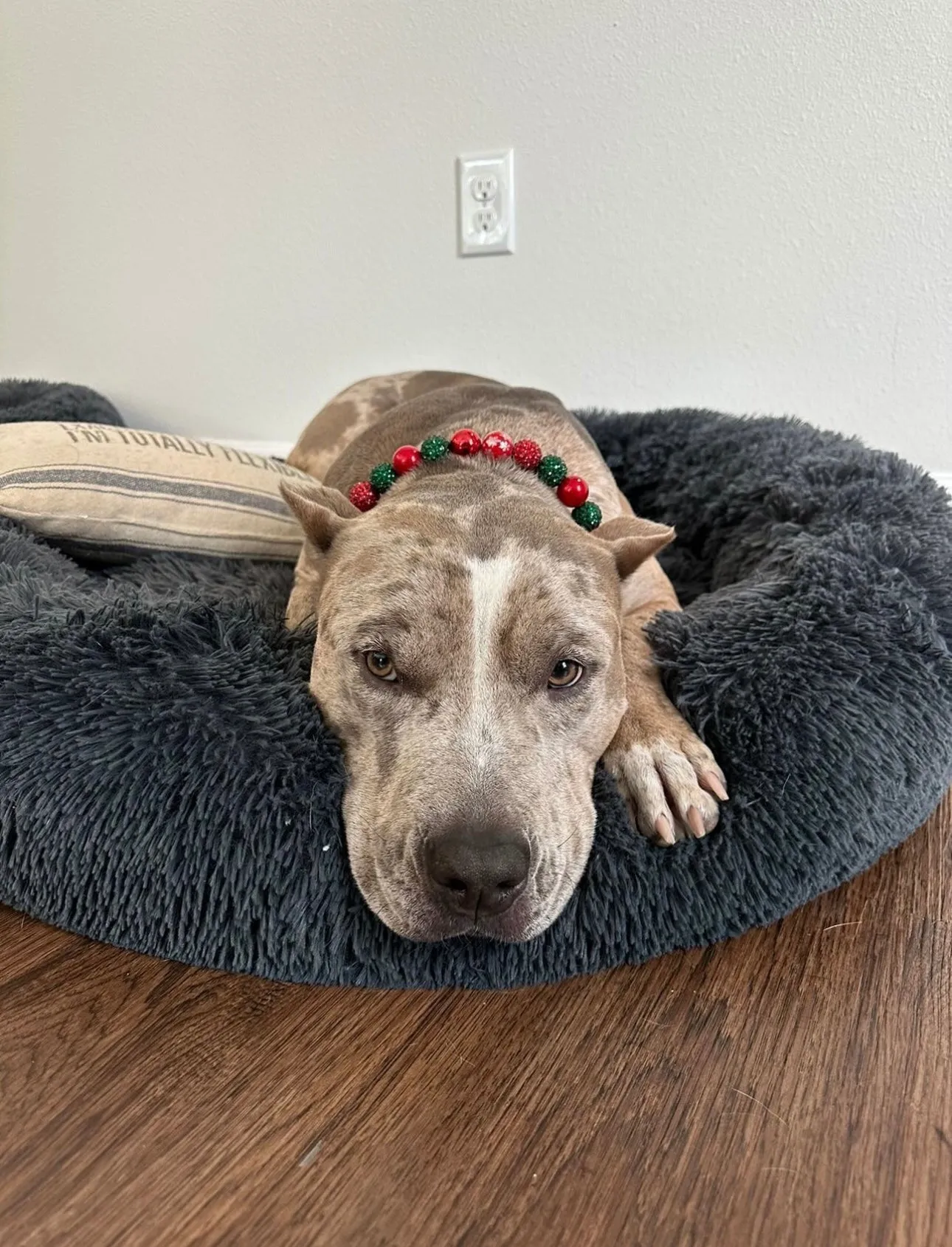 Christmas Glam Bead Collar