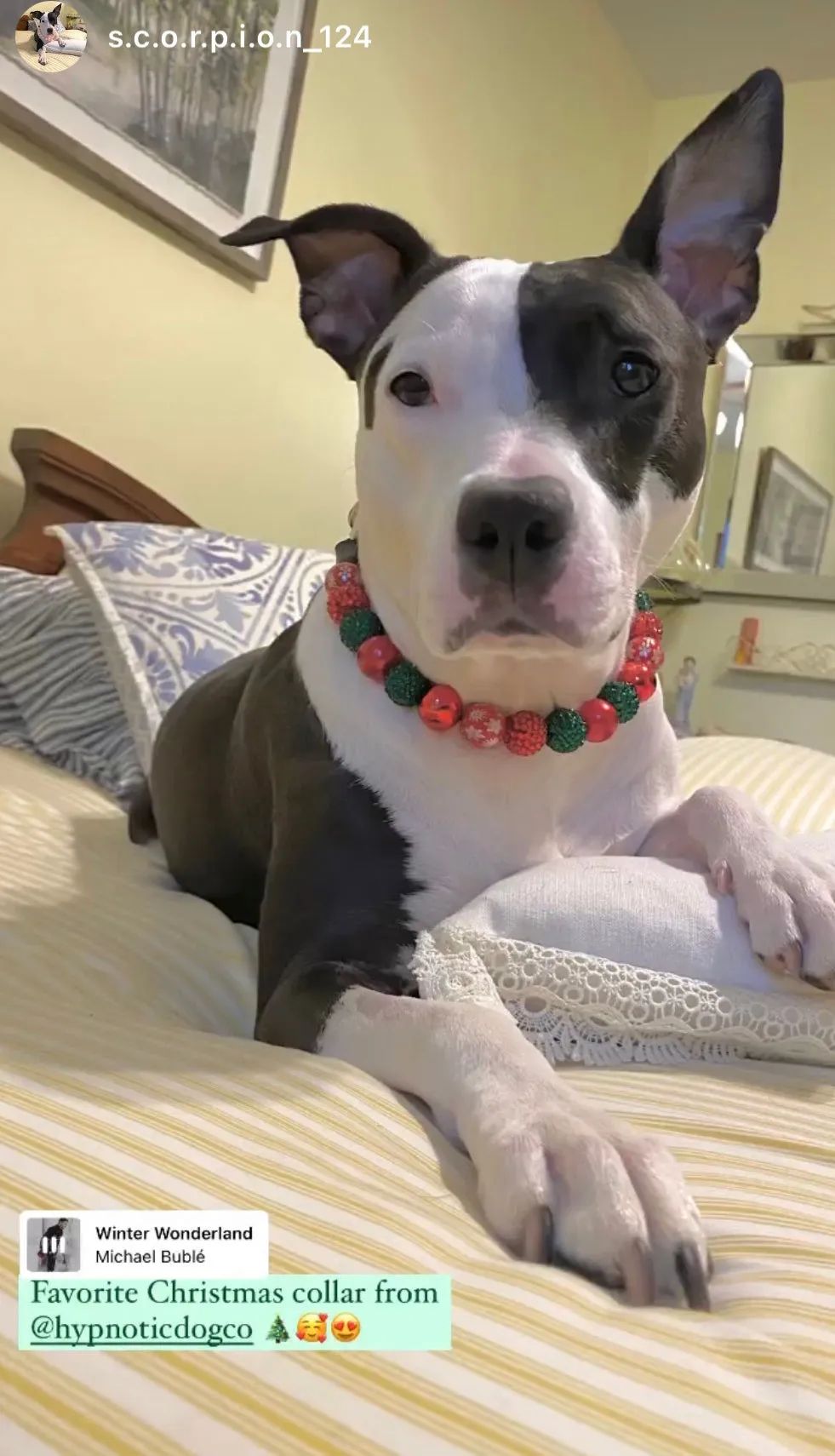 Christmas Glam Bead Collar