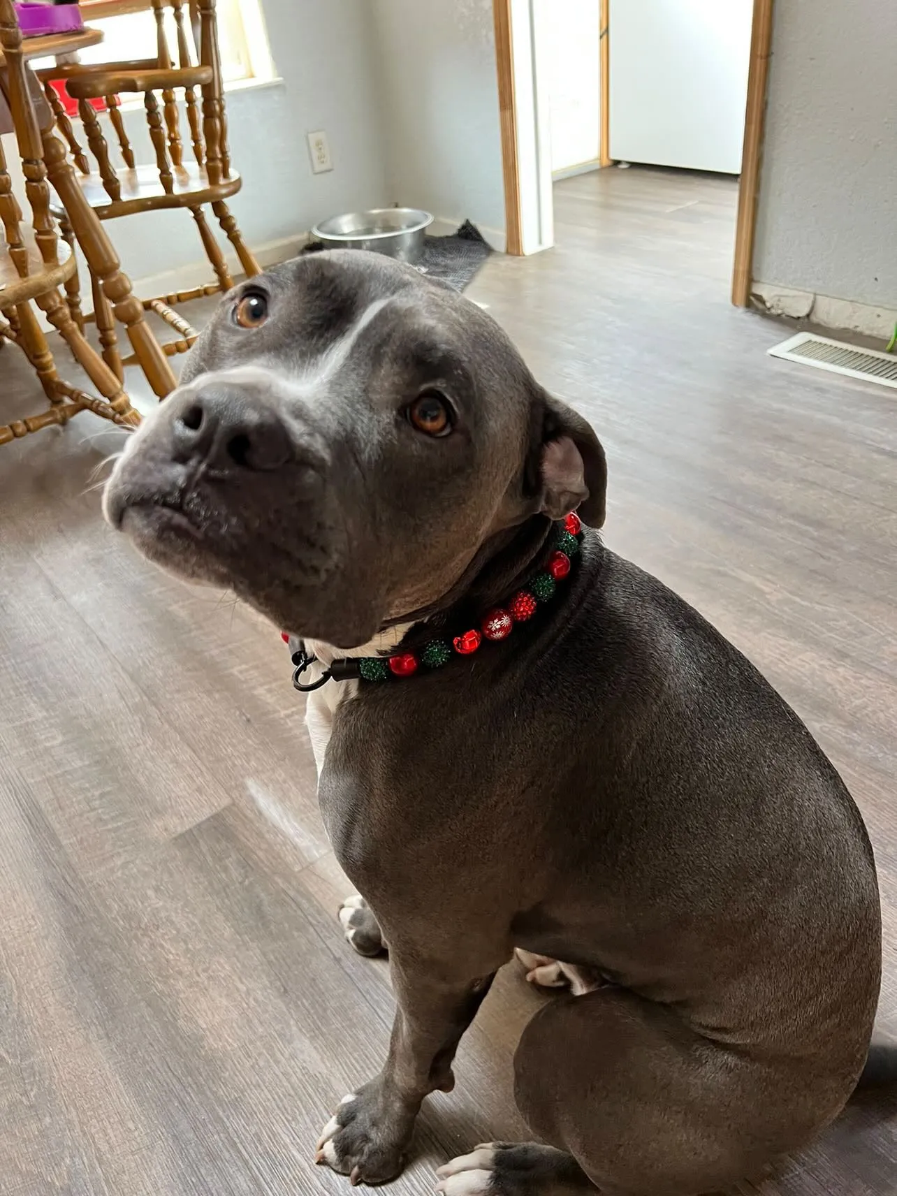 Christmas Glam Bead Collar