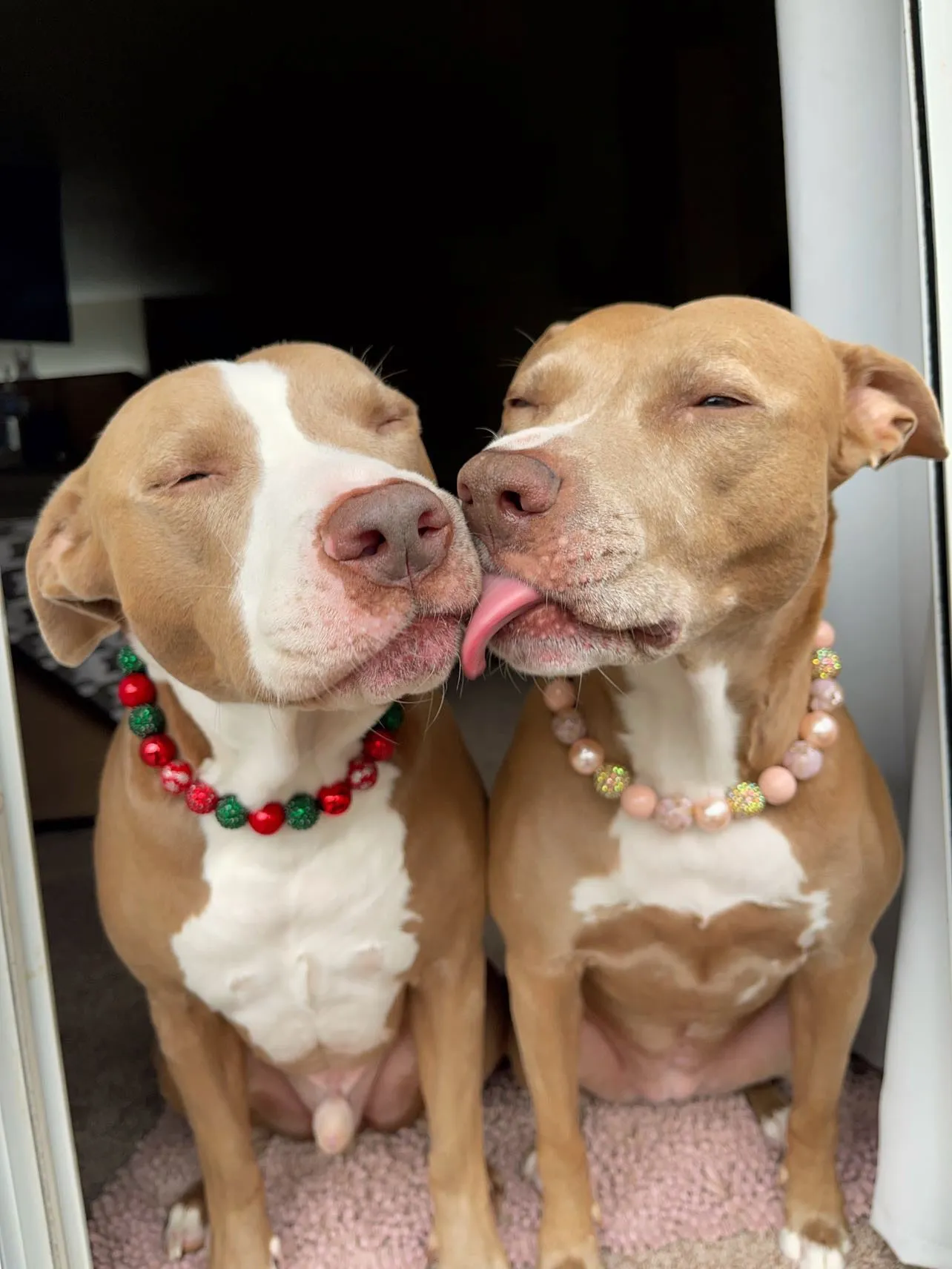 Christmas Glam Bead Collar