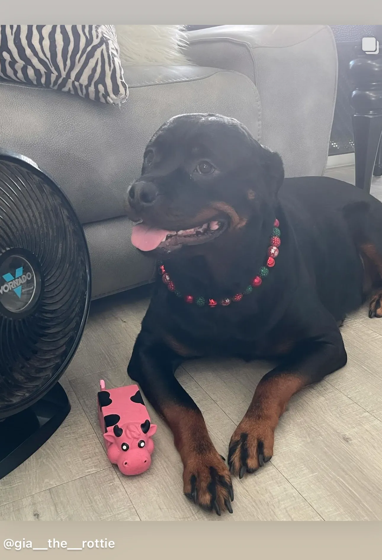 Christmas Glam Bead Collar