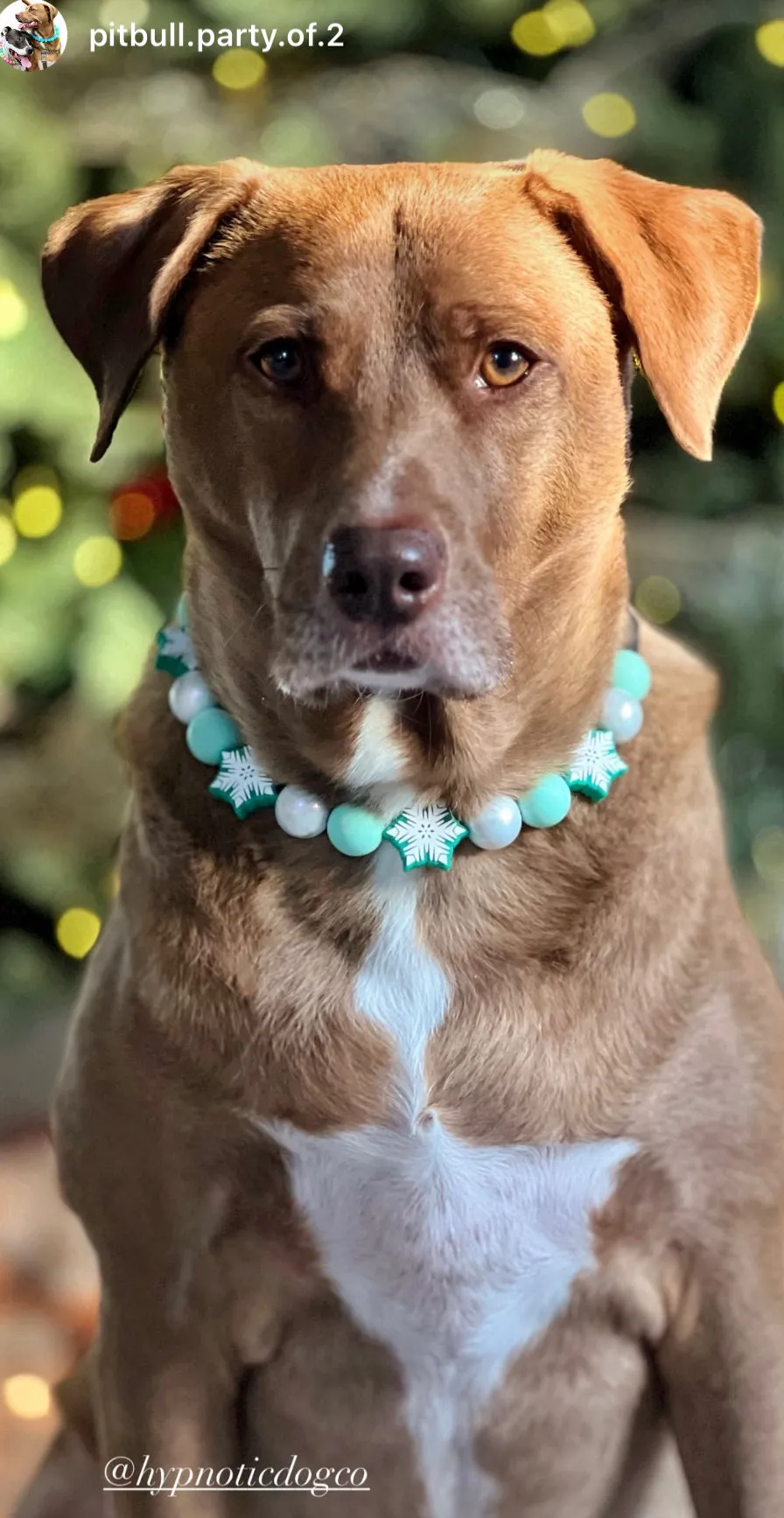 Mint Snowflake ❄️ Bead Collar