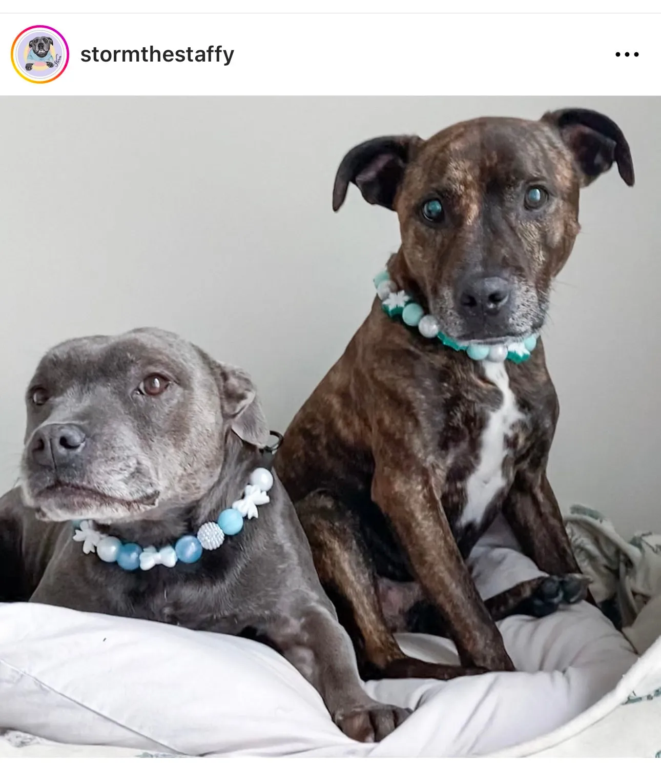 Mint Snowflake ❄️ Bead Collar