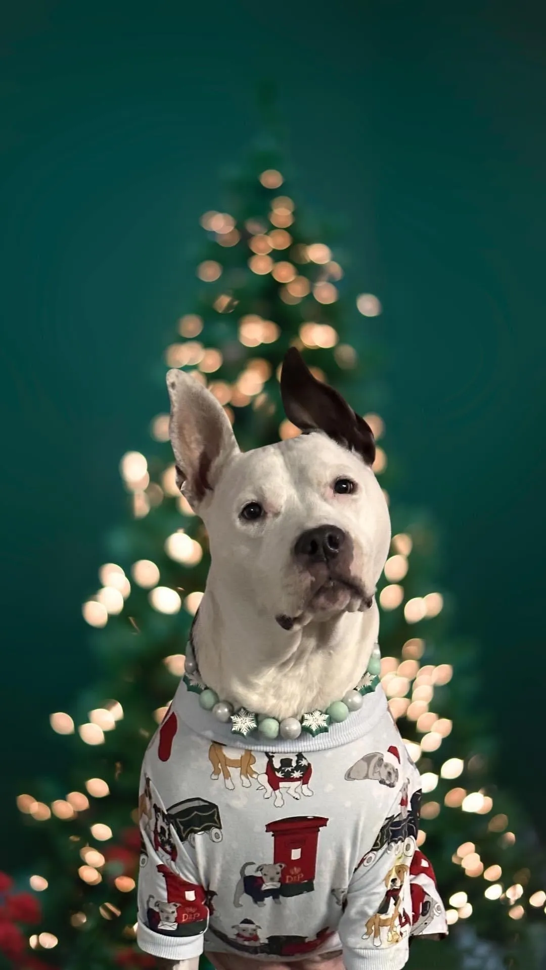 Mint Snowflake ❄️ Bead Collar