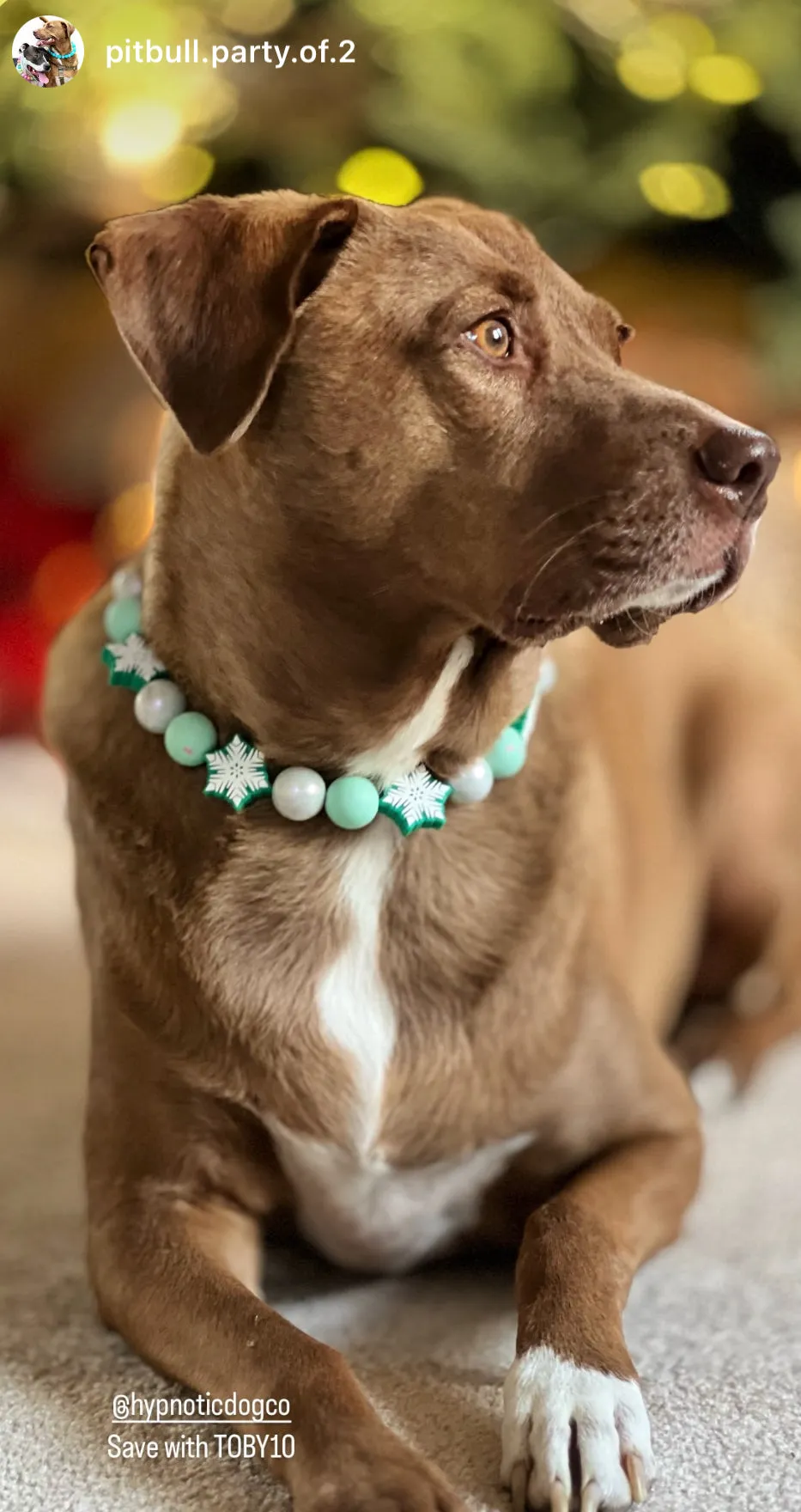 Mint Snowflake ❄️ Bead Collar