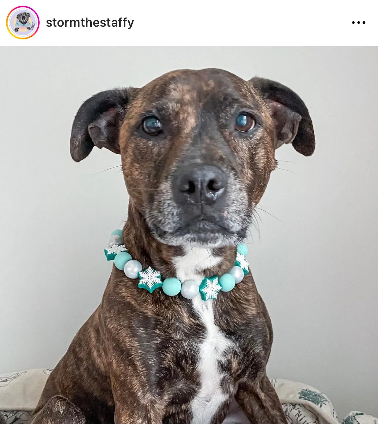 Mint Snowflake ❄️ Bead Collar