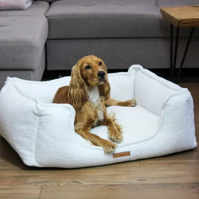 MISSOGNO Celestial Hypoallergenic Orthopaedic Dog Bed