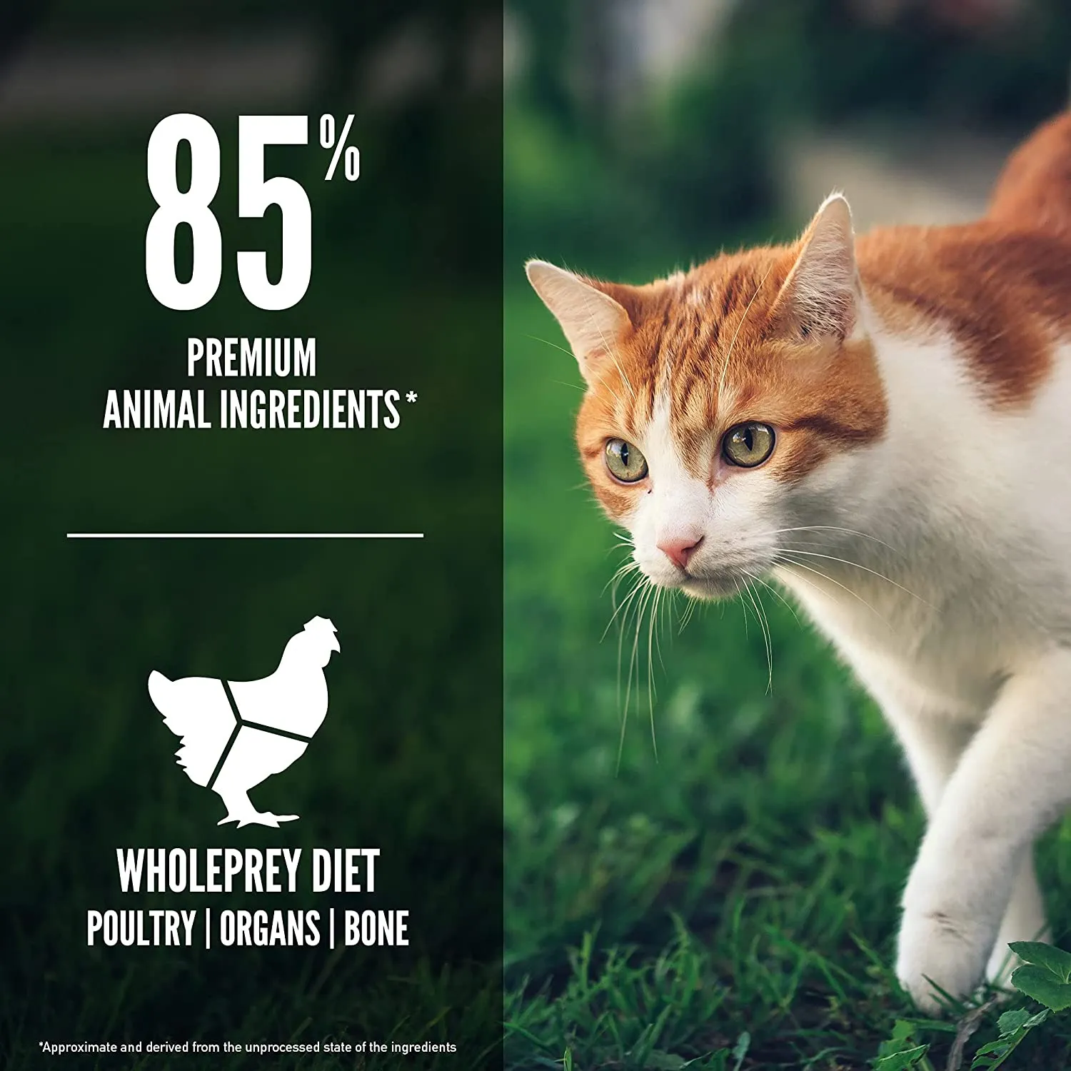 Orijen FIT & TRIM Cat Food