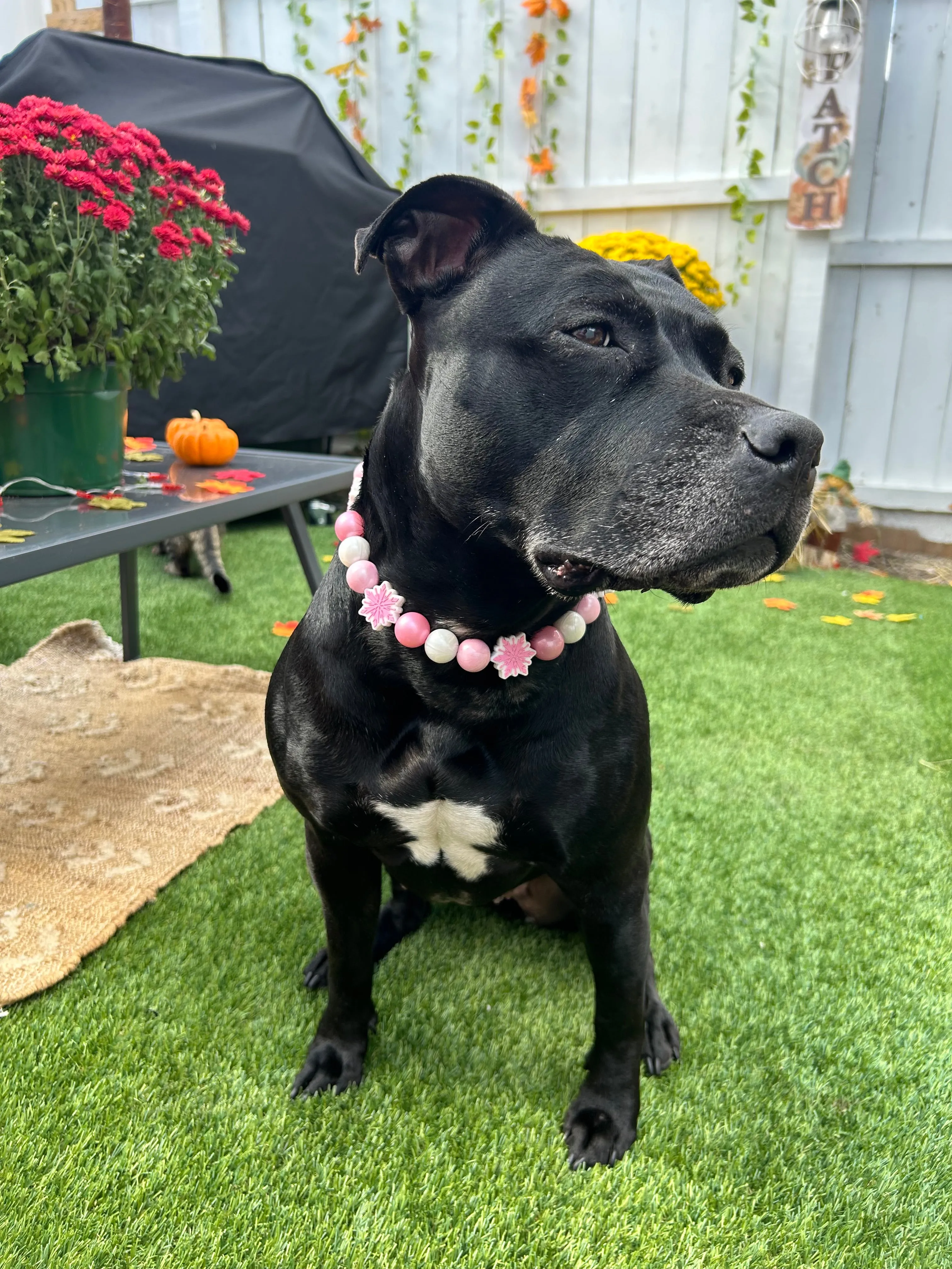 Pink Snowflake ❄️ Bead Collar