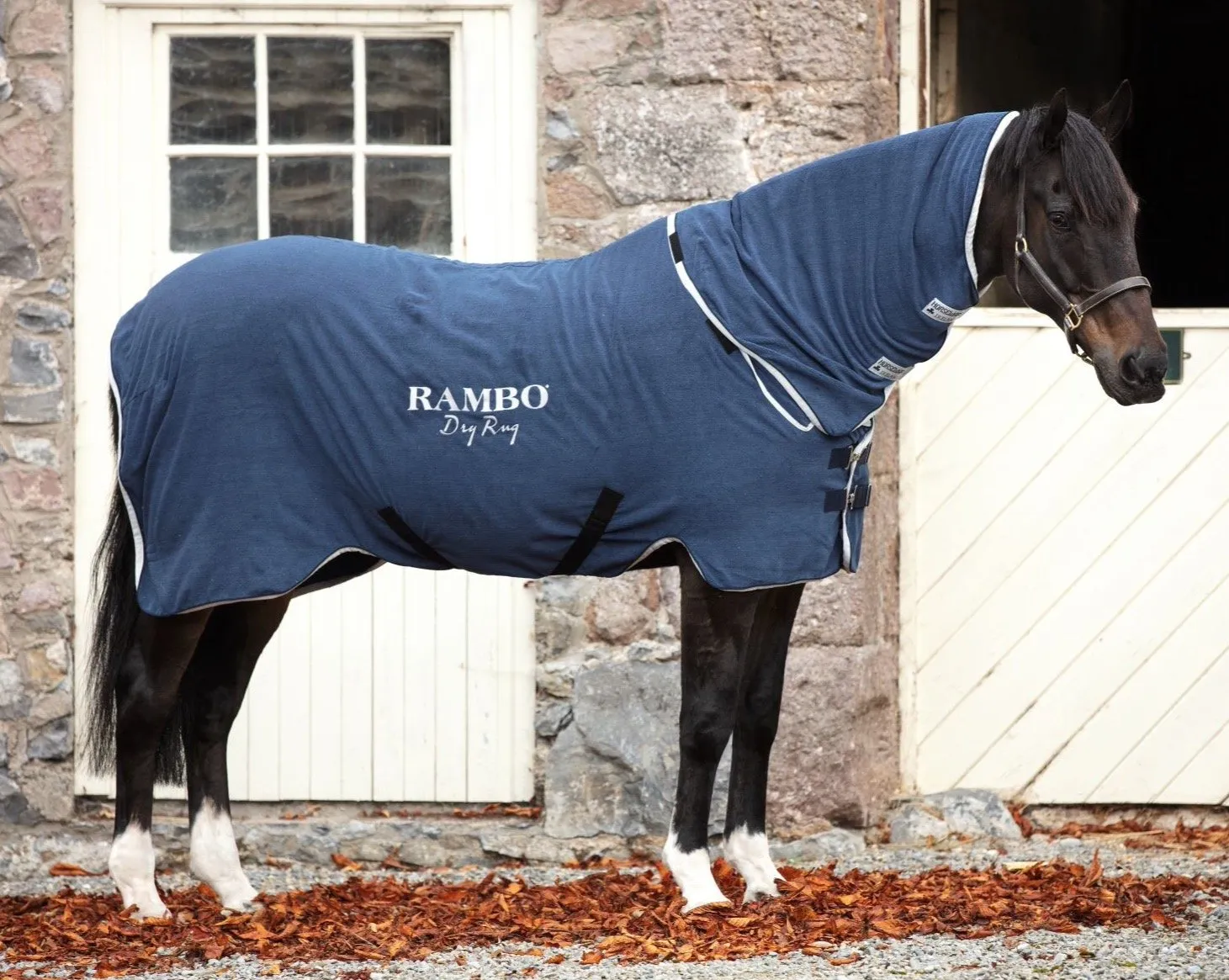 Rambo Dry Rug